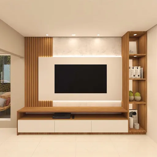 tv-unit-1